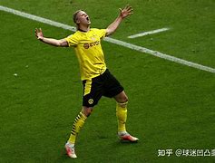 南特前锋赫兰德获得法乙最佳射手，期待首秀表现的简单介绍